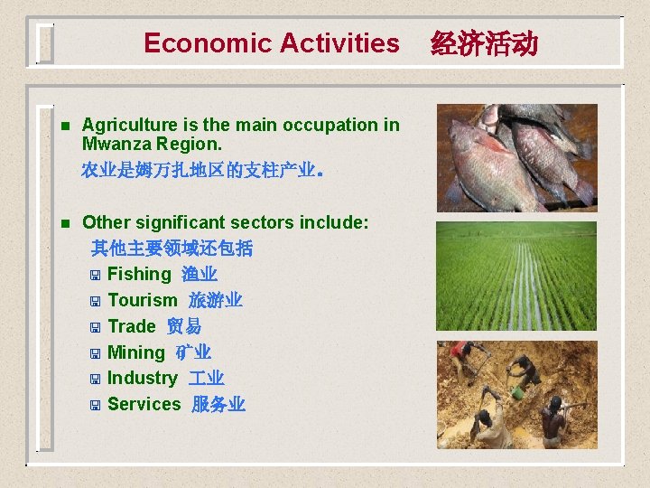 Economic Activities n Agriculture is the main occupation in Mwanza Region. 农业是姆万扎地区的支柱产业。 n Other