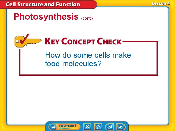 Photosynthesis (cont. ) How do some cells make food molecules? 