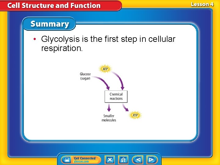  • Glycolysis is the first step in cellular respiration. 