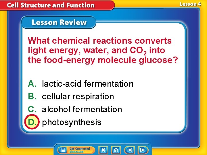 What chemical reactions converts light energy, water, and CO 2 into the food-energy molecule