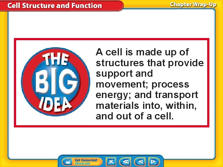 A cell is made up of structures that provide support and movement; process energy;