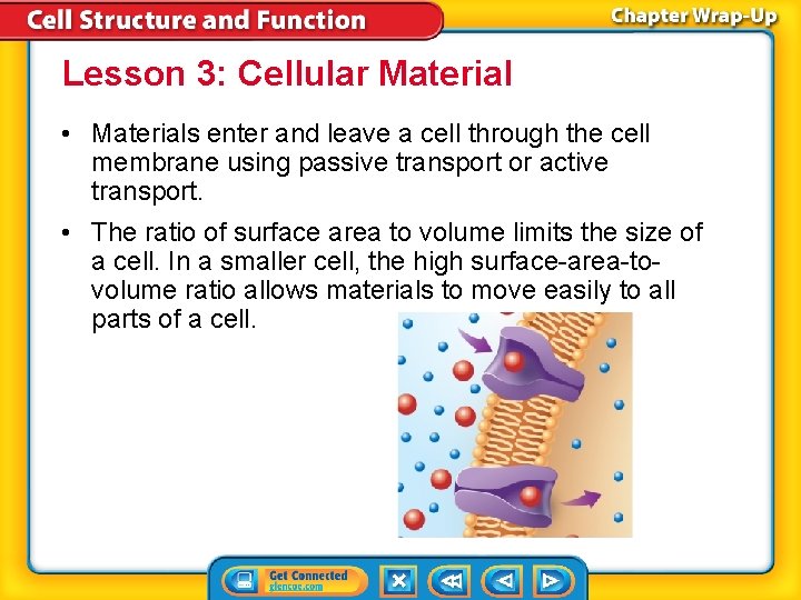 Lesson 3: Cellular Material • Materials enter and leave a cell through the cell