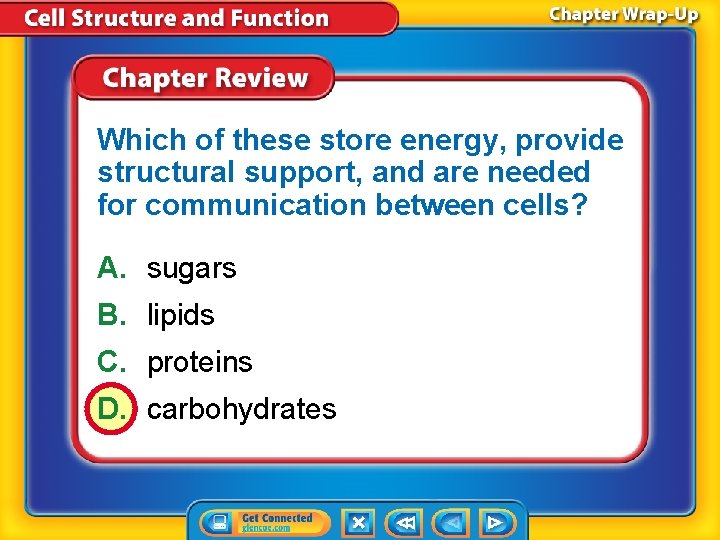 Which of these store energy, provide structural support, and are needed for communication between