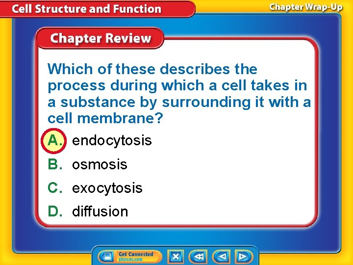 Which of these describes the process during which a cell takes in a substance