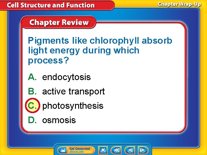 Pigments like chlorophyll absorb light energy during which process? A. endocytosis B. active transport