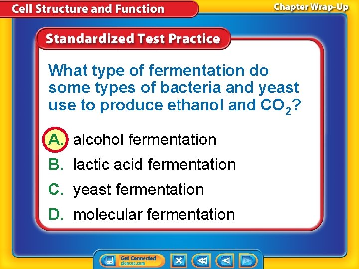 What type of fermentation do some types of bacteria and yeast use to produce