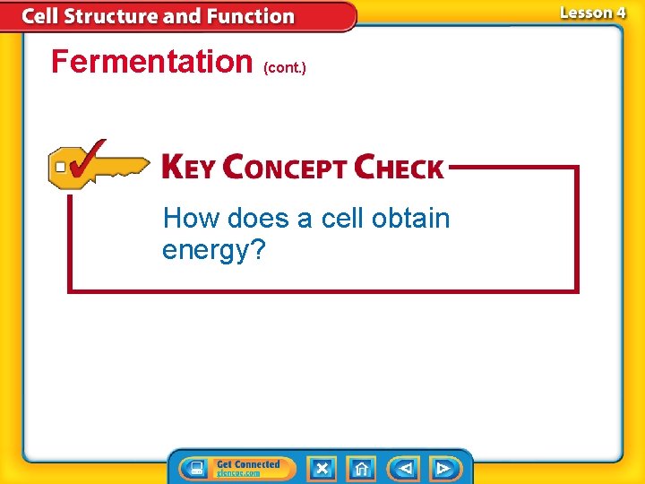 Fermentation (cont. ) How does a cell obtain energy? 