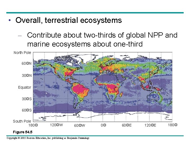  • Overall, terrestrial ecosystems – Contribute about two-thirds of global NPP and marine