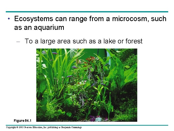  • Ecosystems can range from a microcosm, such as an aquarium – To