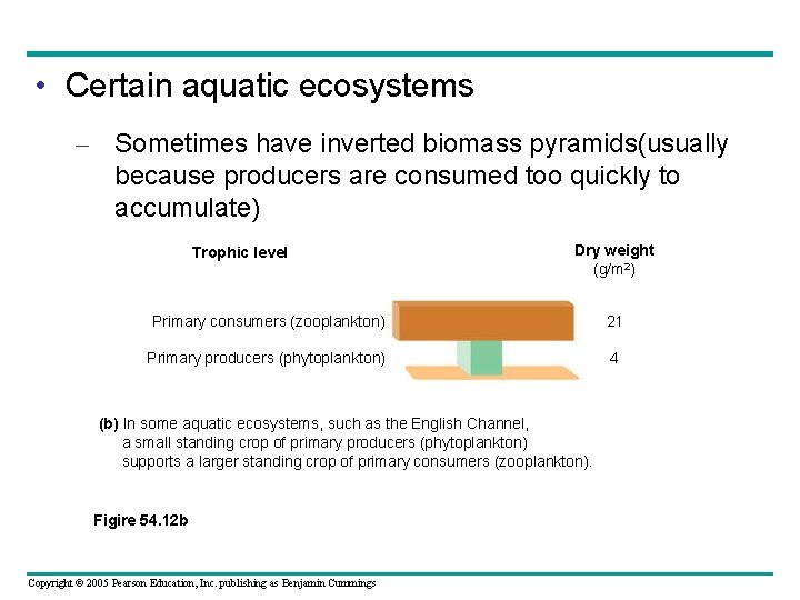  • Certain aquatic ecosystems – Sometimes have inverted biomass pyramids(usually because producers are