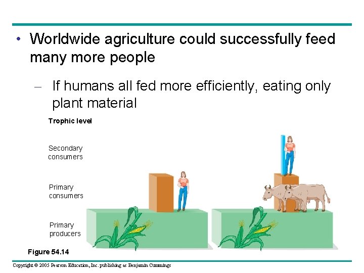  • Worldwide agriculture could successfully feed many more people – If humans all