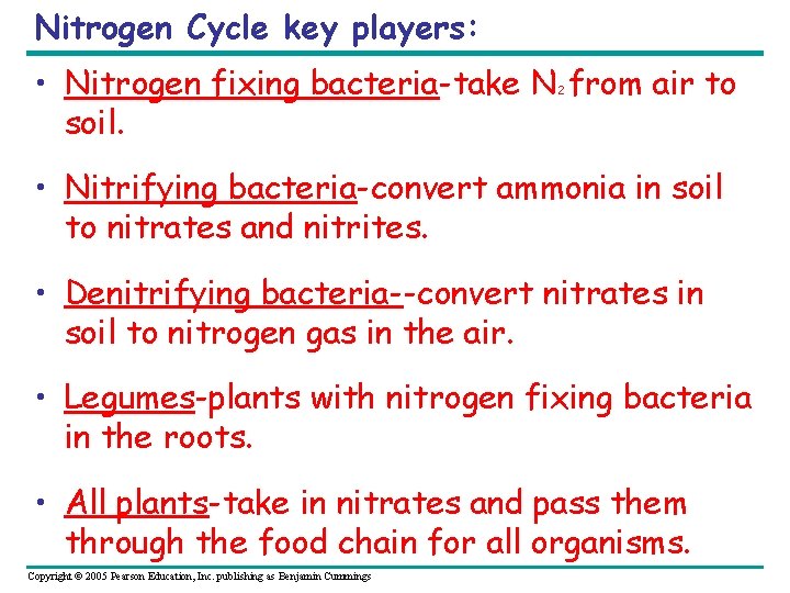 Nitrogen Cycle key players: • Nitrogen fixing bacteria-take N from air to soil. 2
