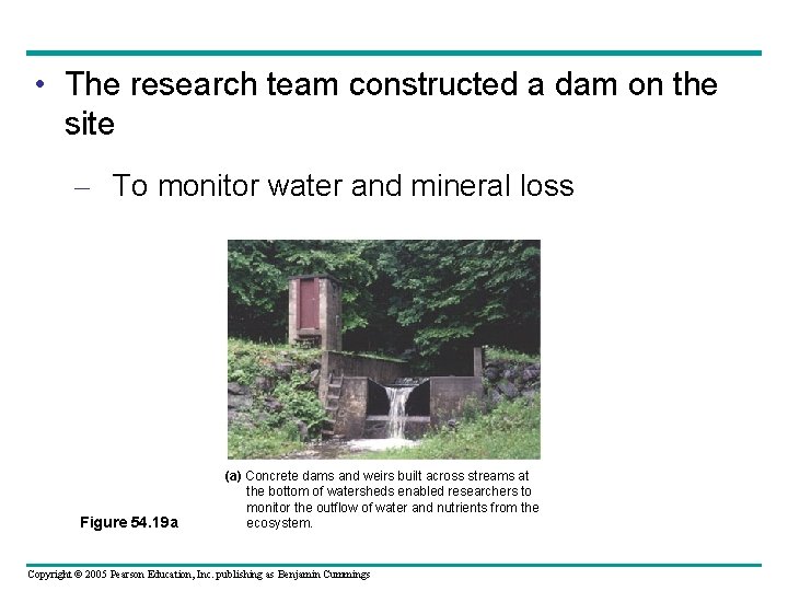  • The research team constructed a dam on the site – To monitor