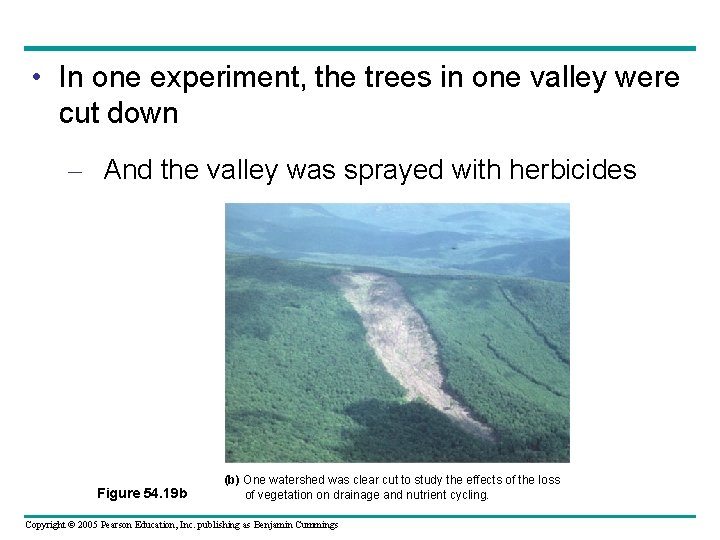  • In one experiment, the trees in one valley were cut down –