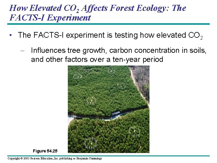 How Elevated CO 2 Affects Forest Ecology: The FACTS-I Experiment • The FACTS-I experiment