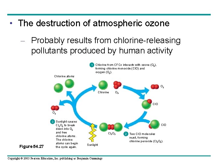  • The destruction of atmospheric ozone – Probably results from chlorine-releasing pollutants produced