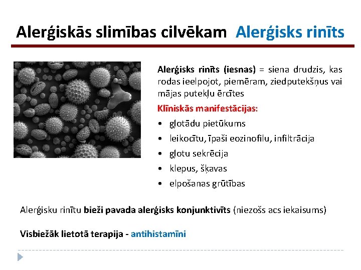 Alerģiskās slimības cilvēkam Alerģisks rinīts (iesnas) = siena drudzis, kas rodas ieelpojot, piemēram, ziedputekšņus