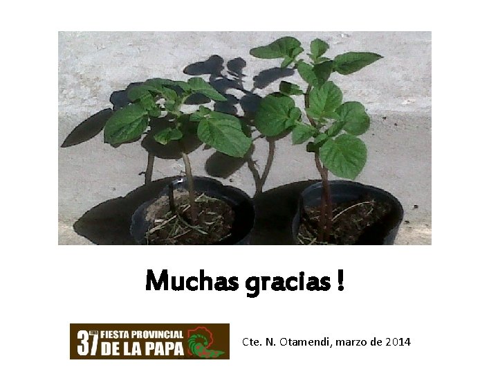 Muchas gracias ! Cte. N. Otamendi, marzo de 2014 