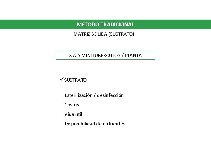 METODO TRADICIONAL MATRIZ SOLIDA (SUSTRATO) 3 A 5 MINITUBERCULOS / PLANTA üSUSTRATO Esterilización /