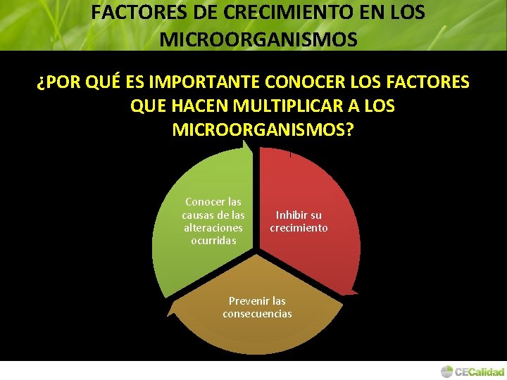 FACTORES DE CRECIMIENTO EN LOS MICROORGANISMOS ¿POR QUÉ ES IMPORTANTE CONOCER LOS FACTORES QUE