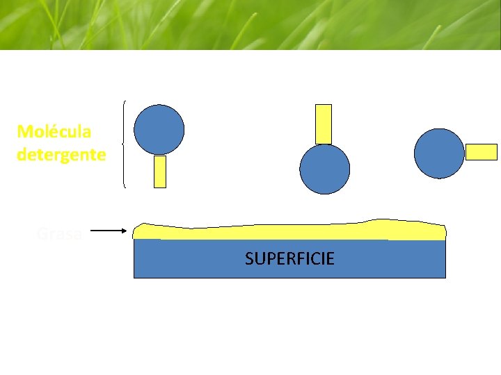 Molécula detergente Grasa SUPERFICIE 