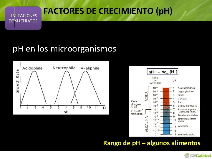 LIMITACIONES DE SUSTRATOS FACTORES DE CRECIMIENTO (p. H) p. H en los microorganismos Rango