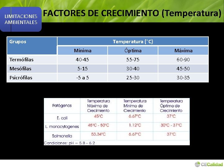 LIMITACIONES AMBIENTALES FACTORES DE CRECIMIENTO (Temperatura) Grupos Temperatura (°C) Mínima Óptima Máxima Termófilas 40