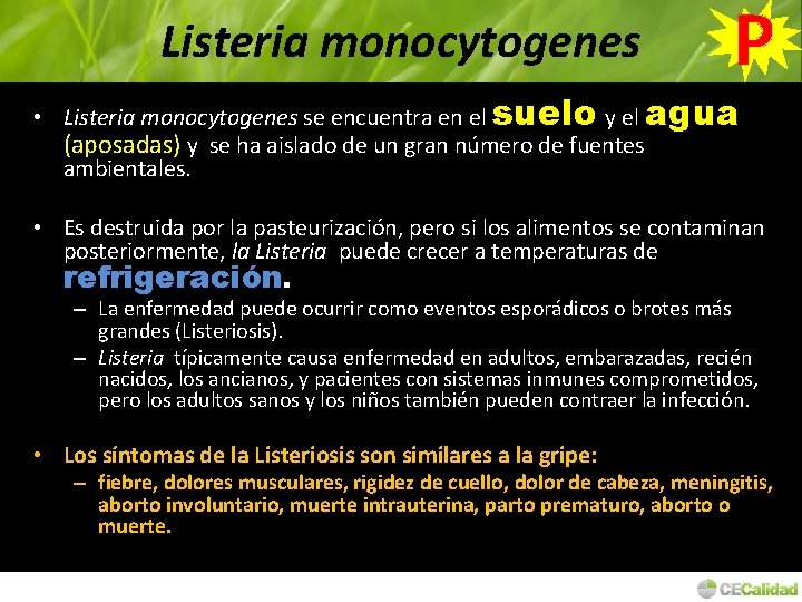 Listeria monocytogenes P • Listeria monocytogenes se encuentra en el suelo y el agua