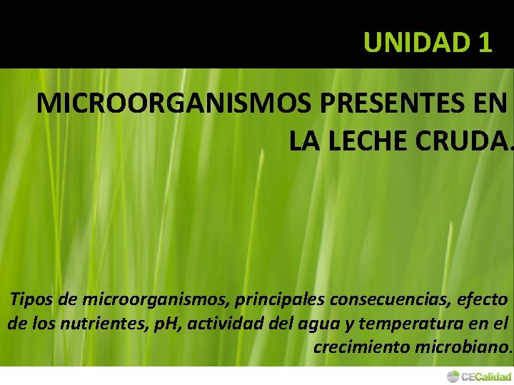 UNIDAD 1 MICROORGANISMOS PRESENTES EN LA LECHE CRUDA. Tipos de microorganismos, principales consecuencias, efecto