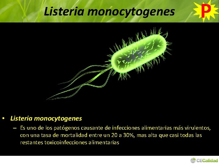 Listeria monocytogenes P • Listeria monocytogenes – Es uno de los patógenos causante de
