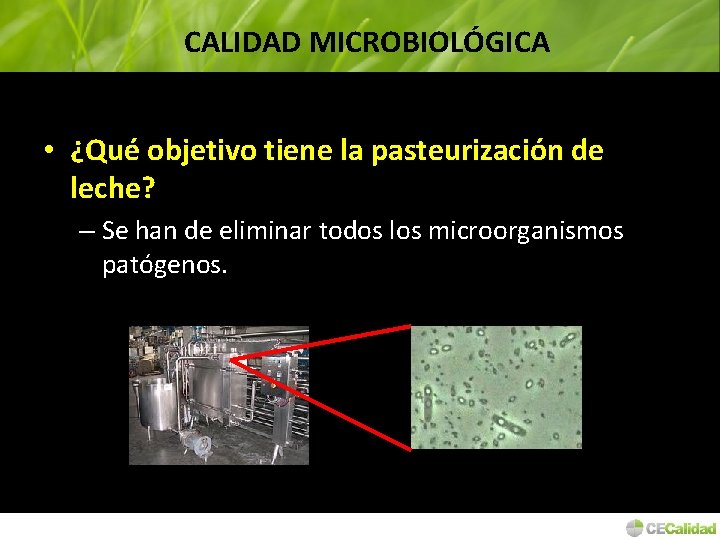 CALIDAD MICROBIOLÓGICA • ¿Qué objetivo tiene la pasteurización de leche? – Se han de
