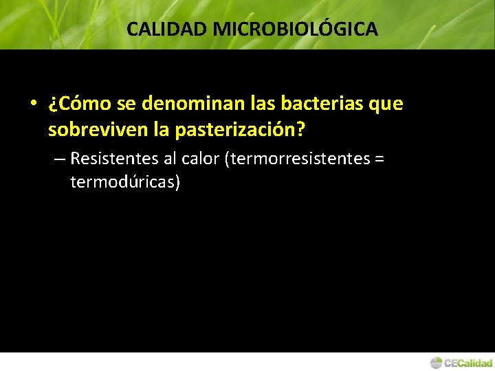 CALIDAD MICROBIOLÓGICA • ¿Cómo se denominan las bacterias que sobreviven la pasterización? – Resistentes