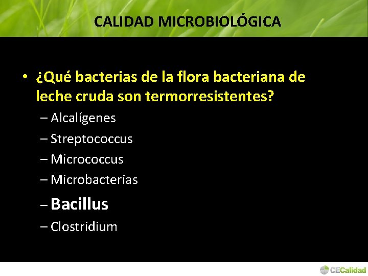 CALIDAD MICROBIOLÓGICA • ¿Qué bacterias de la flora bacteriana de leche cruda son termorresistentes?