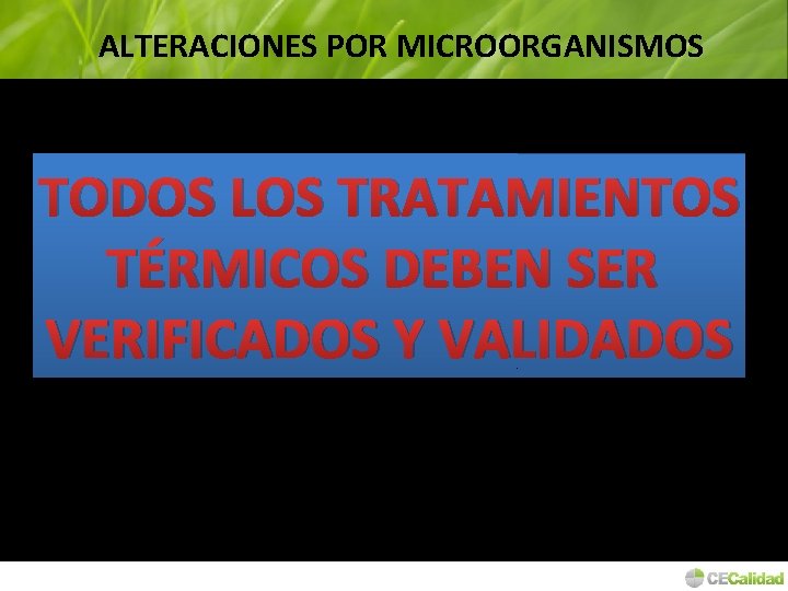 ALTERACIONES POR MICROORGANISMOS TODOS LOS TRATAMIENTOS TÉRMICOS DEBEN SER VERIFICADOS Y VALIDADOS 