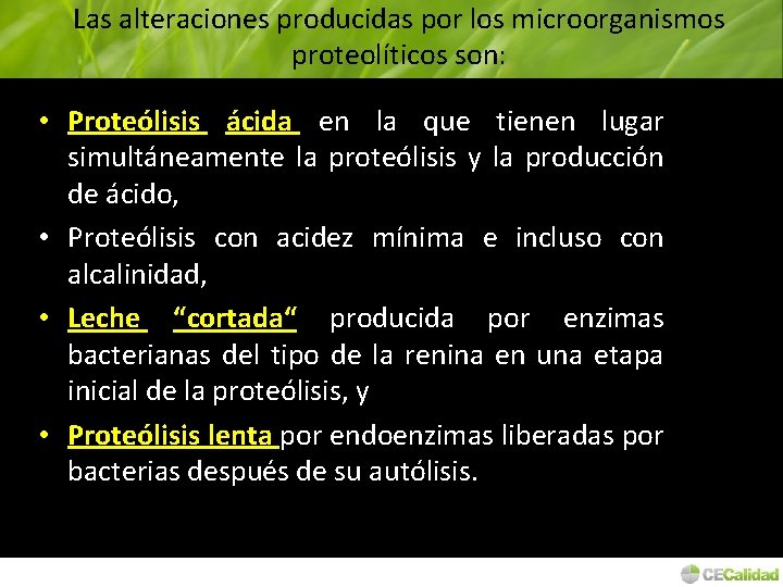 Las alteraciones producidas por los microorganismos proteolíticos son: • Proteólisis ácida en la que