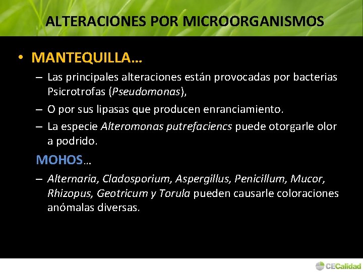 ALTERACIONES POR MICROORGANISMOS • MANTEQUILLA… – Las principales alteraciones están provocadas por bacterias Psicrotrofas