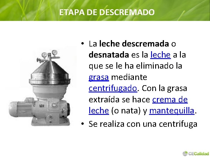 ETAPA DE DESCREMADO • La leche descremada o desnatada es la leche a la