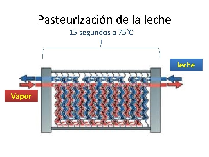 Pasteurización de la leche 15 segundos a 75°C leche Vapor 