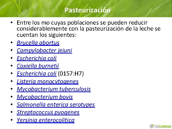 Pasteurización • Entre los mo cuyas poblaciones se pueden reducir considerablemente con la pasteurización