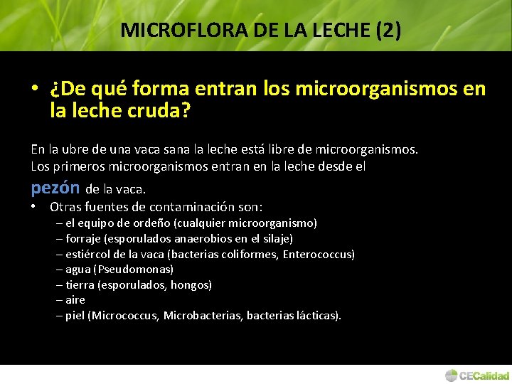 MICROFLORA DE LA LECHE (2) • ¿De qué forma entran los microorganismos en la