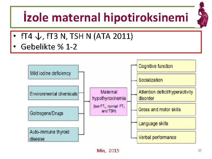 İzole maternal hipotiroksinemi • f. T 4 ↓, f. T 3 N, TSH N