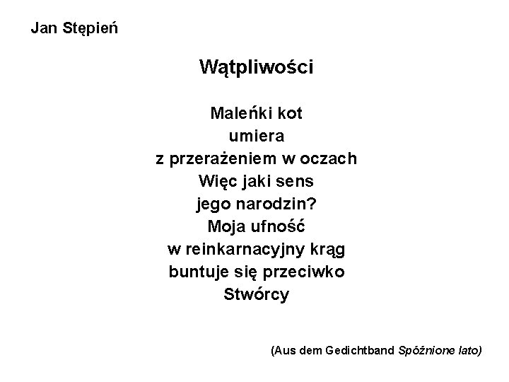 Jan Stępień Wątpliwości Maleńki kot umiera z przerażeniem w oczach Więc jaki sens jego