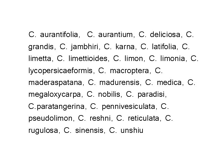 C. aurantifolia, C. aurantium, C. deliciosa, C. grandis, C. jambhiri, C. karna, C. latifolia,