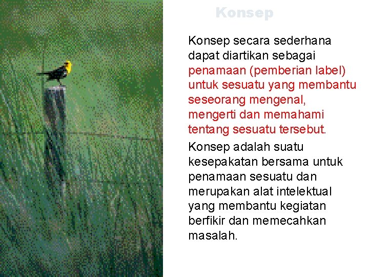 Konsep secara sederhana dapat diartikan sebagai penamaan (pemberian label) untuk sesuatu yang membantu seseorang