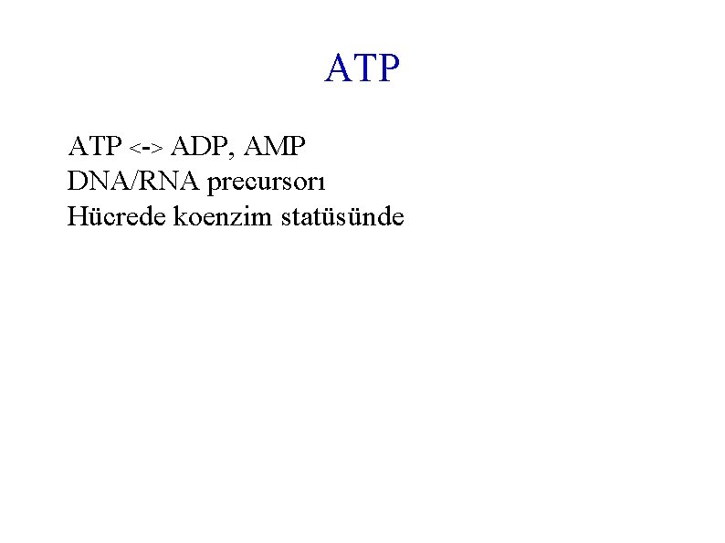 ATP <-> ADP, AMP DNA/RNA precursorı Hücrede koenzim statüsünde 