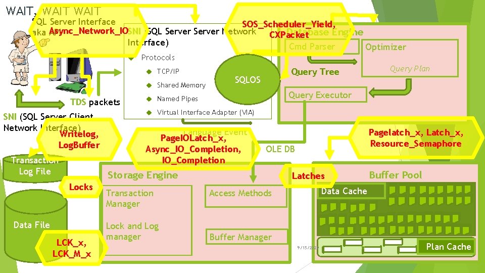 WAIT, WAIT SQL Server Interface SOS_Scheduler_Yield, Async_Network_IO SNI (SQL Server Network Database Engine aka