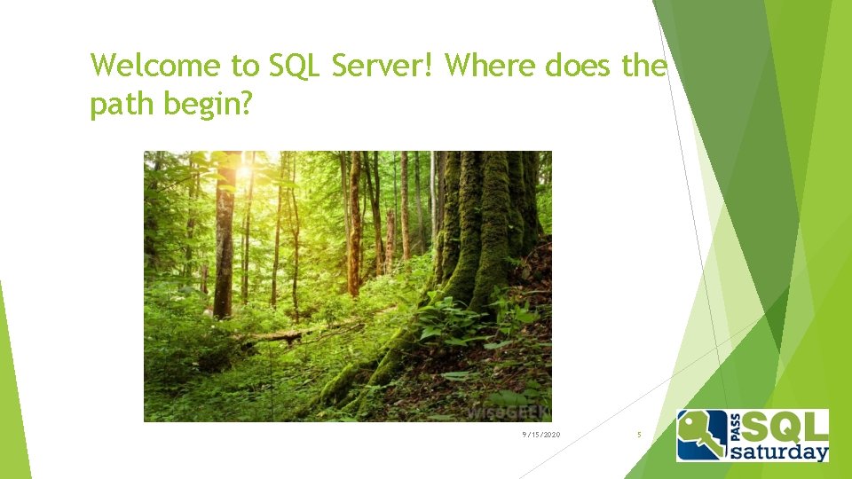 Welcome to SQL Server! Where does the path begin? 9/15/2020 5 