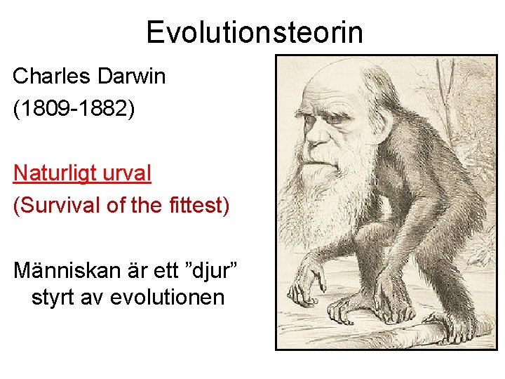 Evolutionsteorin Charles Darwin (1809 -1882) Naturligt urval (Survival of the fittest) Människan är ett