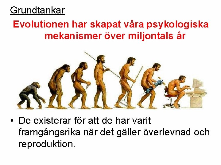 Grundtankar Evolutionen har skapat våra psykologiska mekanismer över miljontals år • De existerar för