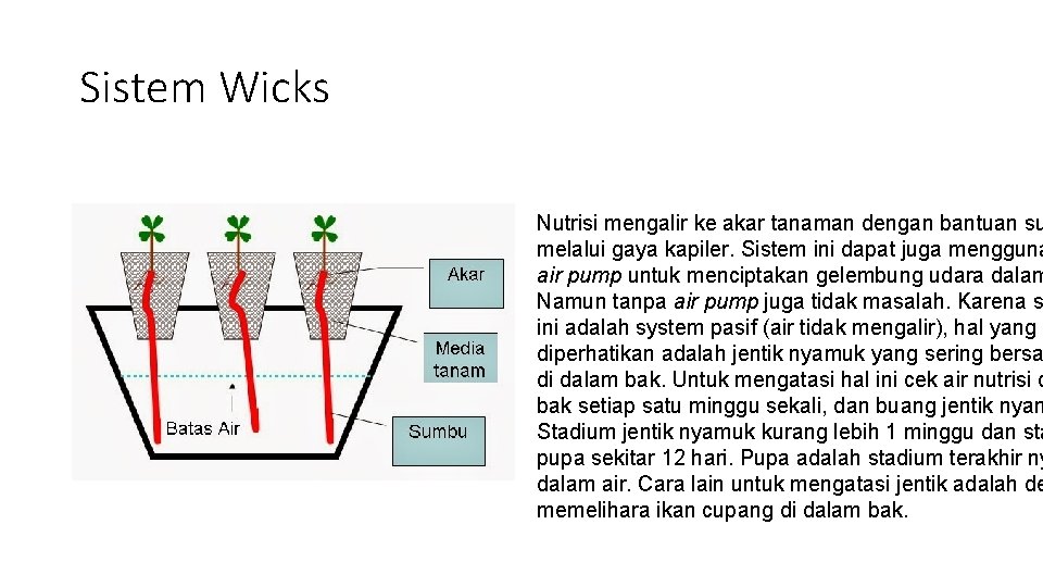 Sistem Wicks Nutrisi mengalir ke akar tanaman dengan bantuan su melalui gaya kapiler. Sistem